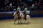 Quadrille - 00241